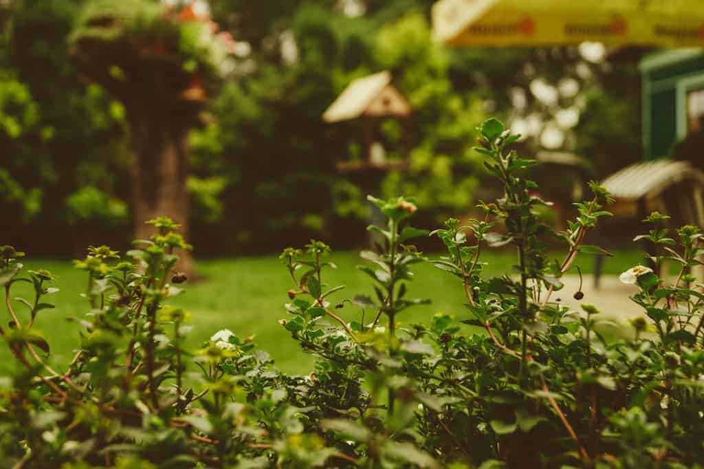 tuin echt gras of kunstgras