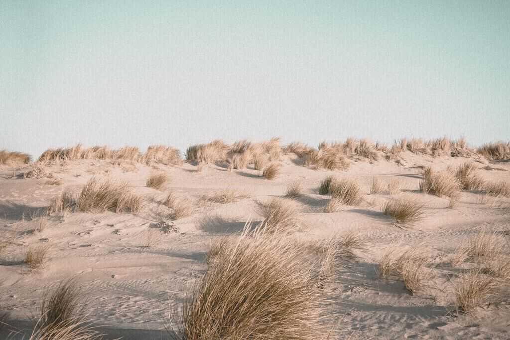 duinen voldoende beweging