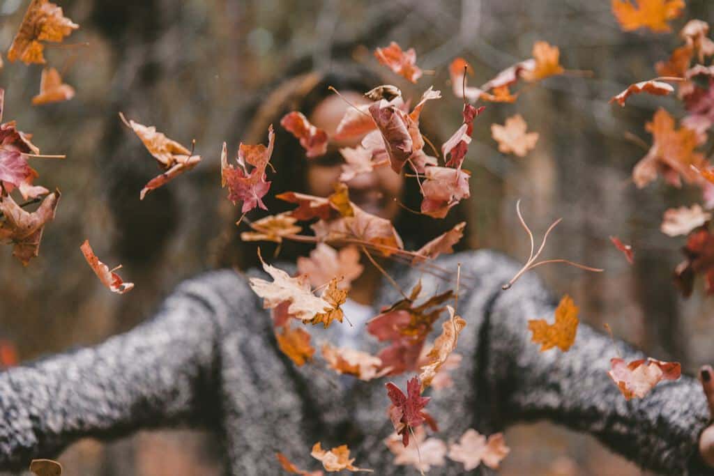 gezonde herfst