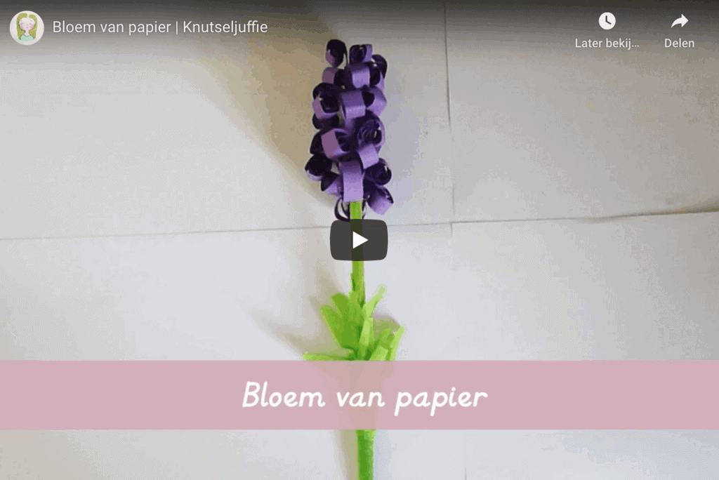 hyacinten papier
