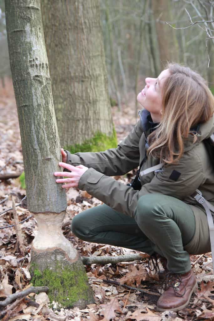 marieke boswachter